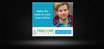 Pinecone Research Review