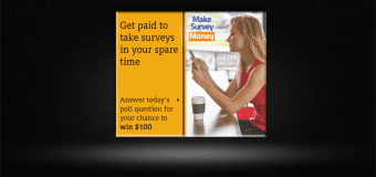 Make Survey Money Review